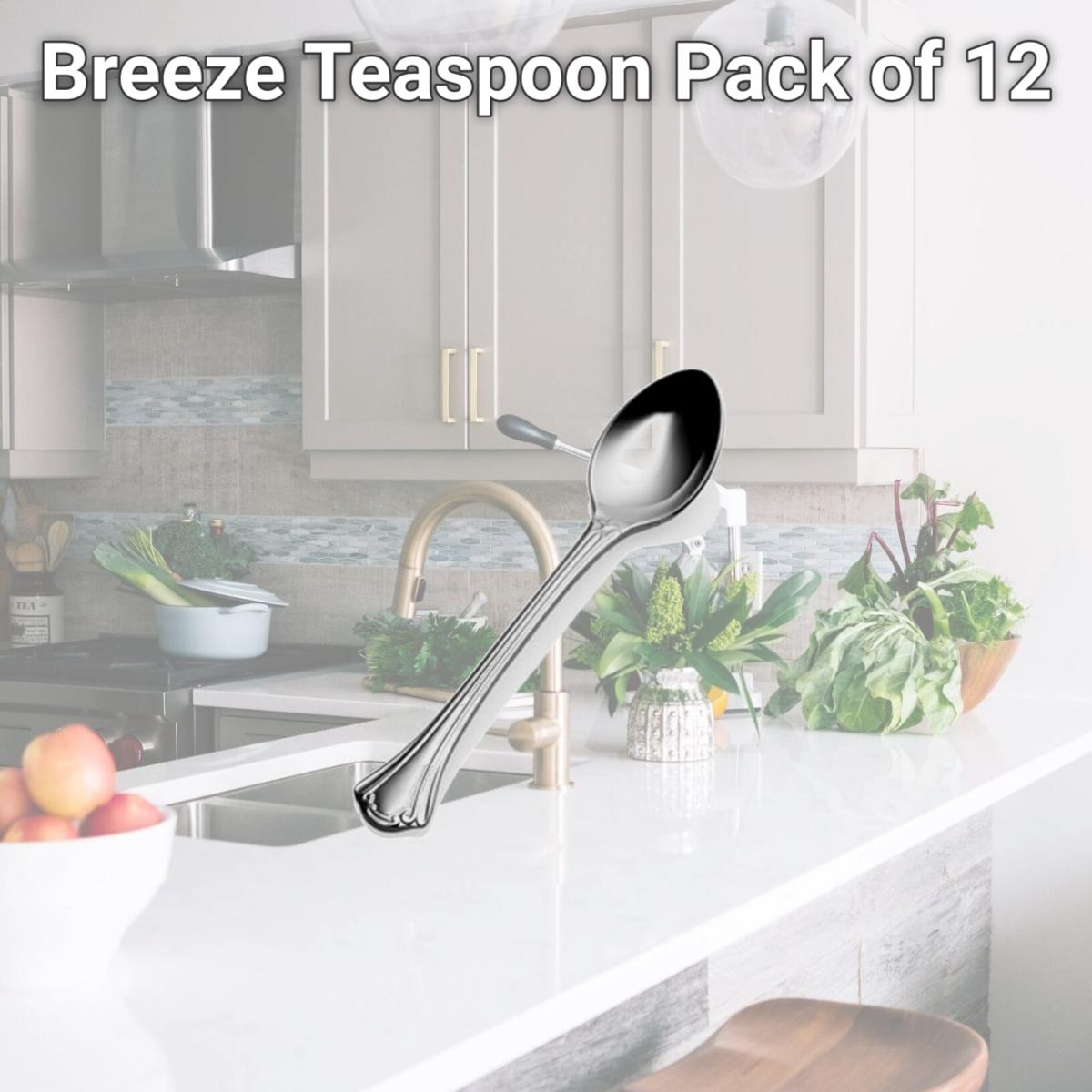 Picture of Bon Chef S2100 Breeze Teaspoon, Pack of 12