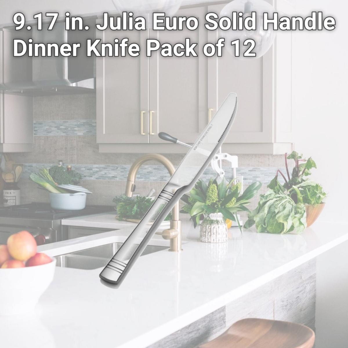 Picture of Bon Chef S2612 9.17 in. Julia Euro Solid Handle Dinner Knife, Pack of 12