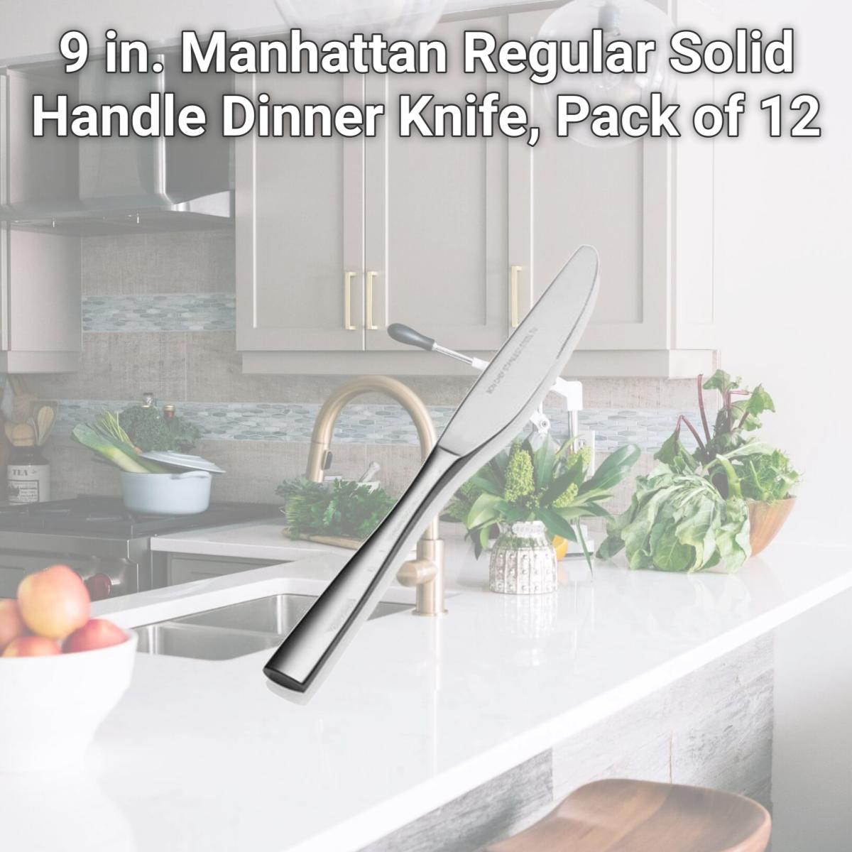 Picture of Bon Chef S3011 9 in. Manhattan Regular Solid Handle Dinner Knife, Pack of 12