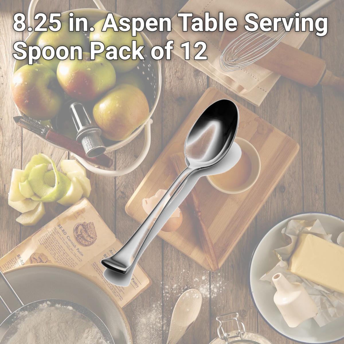 Picture of Bon Chef S3204 8.25 in. Aspen Table Serving Spoon, Pack of 12