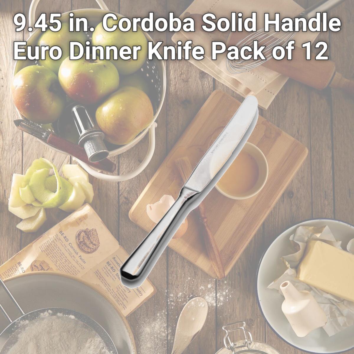 Picture of Bon Chef S3412 9.45 in. Cordoba Solid Handle Euro Dinner Knife, Pack of 12
