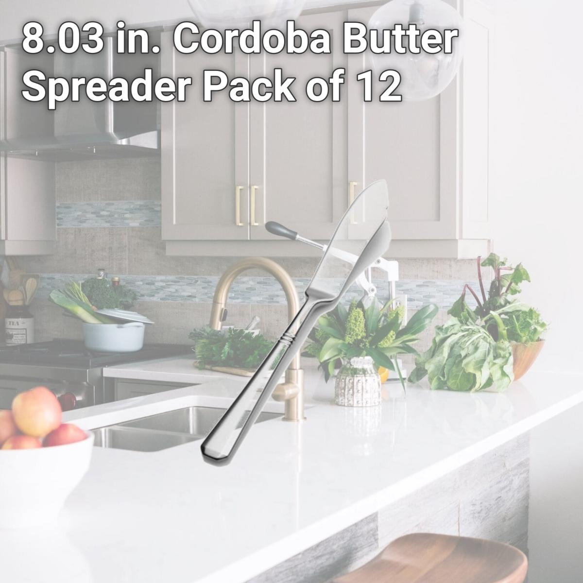 Picture of Bon Chef S3413 8.03 in. Cordoba Butter Spreader, Pack of 12