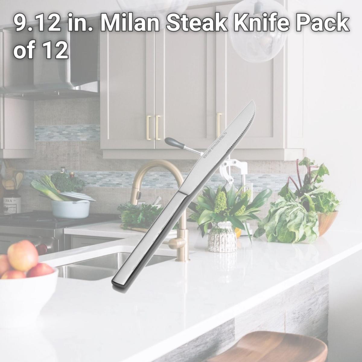 Picture of Bon Chef S3815 9.12 in. Milan Steak Knife, Pack of 12