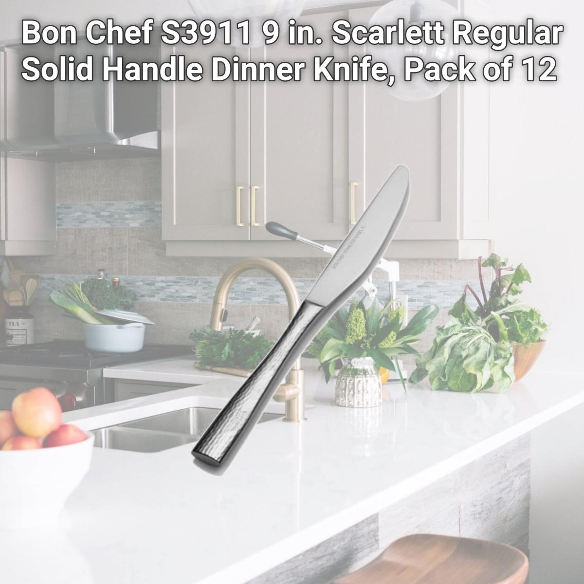 Picture of Bon Chef S3911 9 in. Scarlett Regular Solid Handle Dinner Knife, Pack of 12