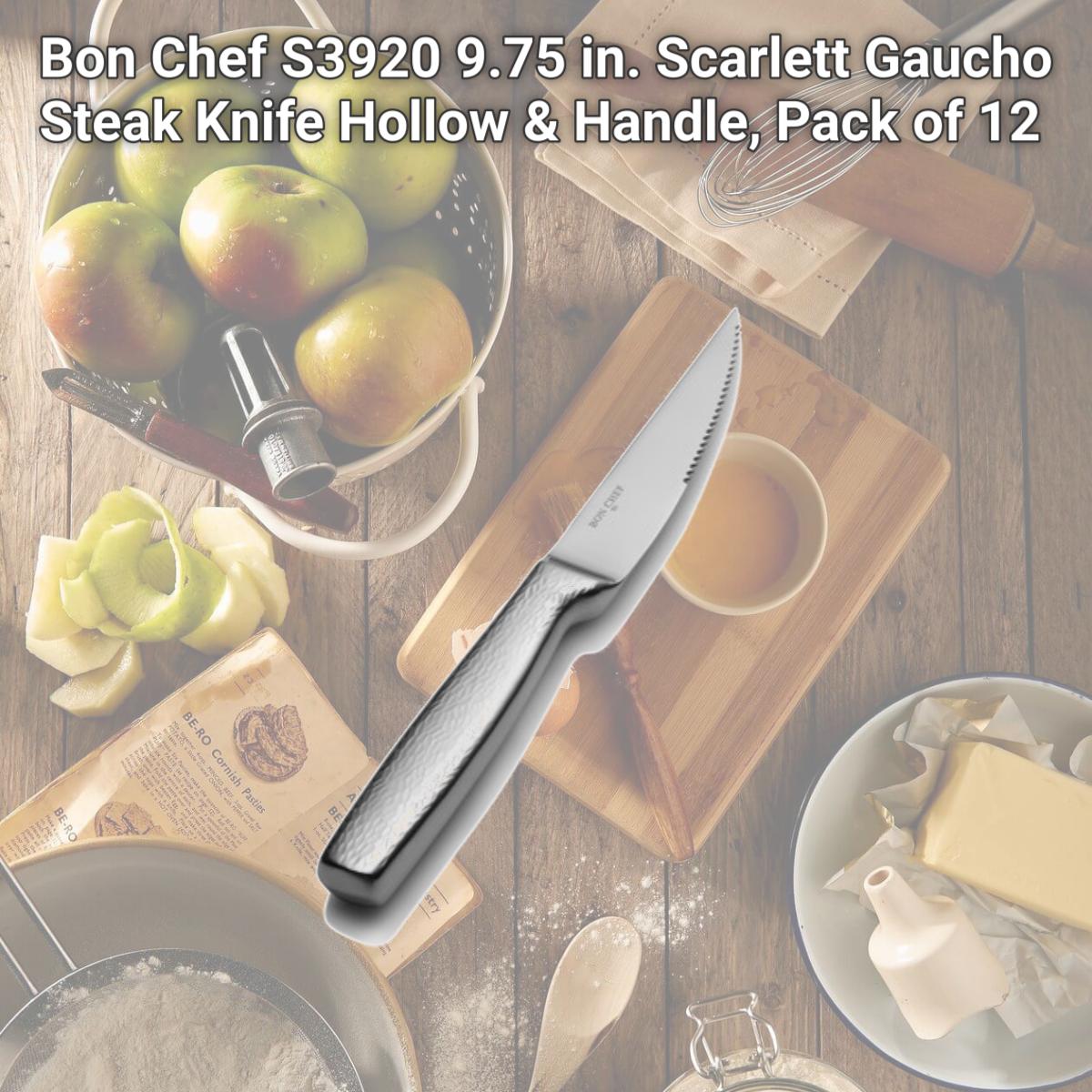Picture of Bon Chef S3920 9.75 in. Scarlett Gaucho Steak Knife Hollow & Handle, Pack of 12