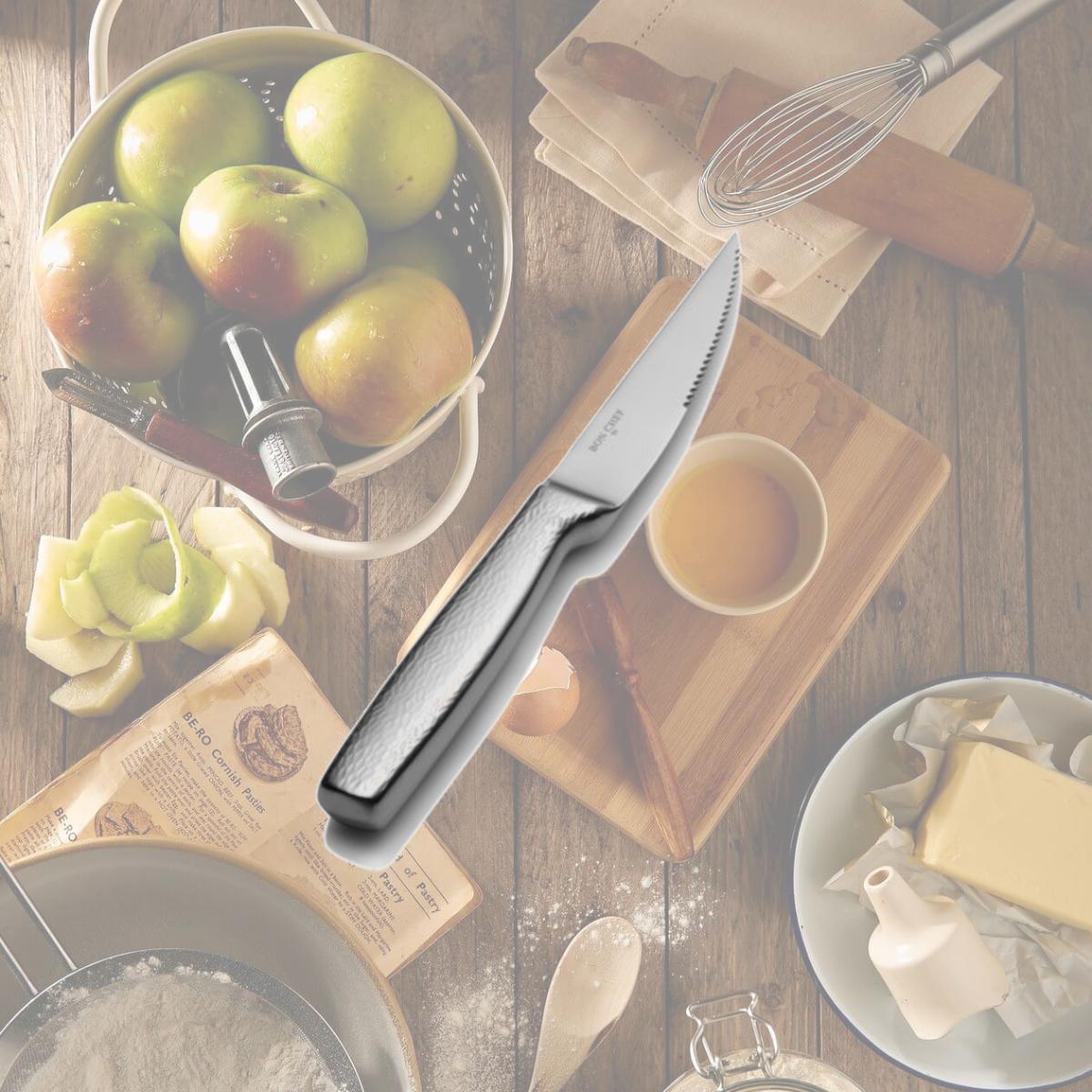Picture of Bon Chef S3920 9.75 in. Scarlett Gaucho Steak Knife Hollow & Handle, Pack of 12