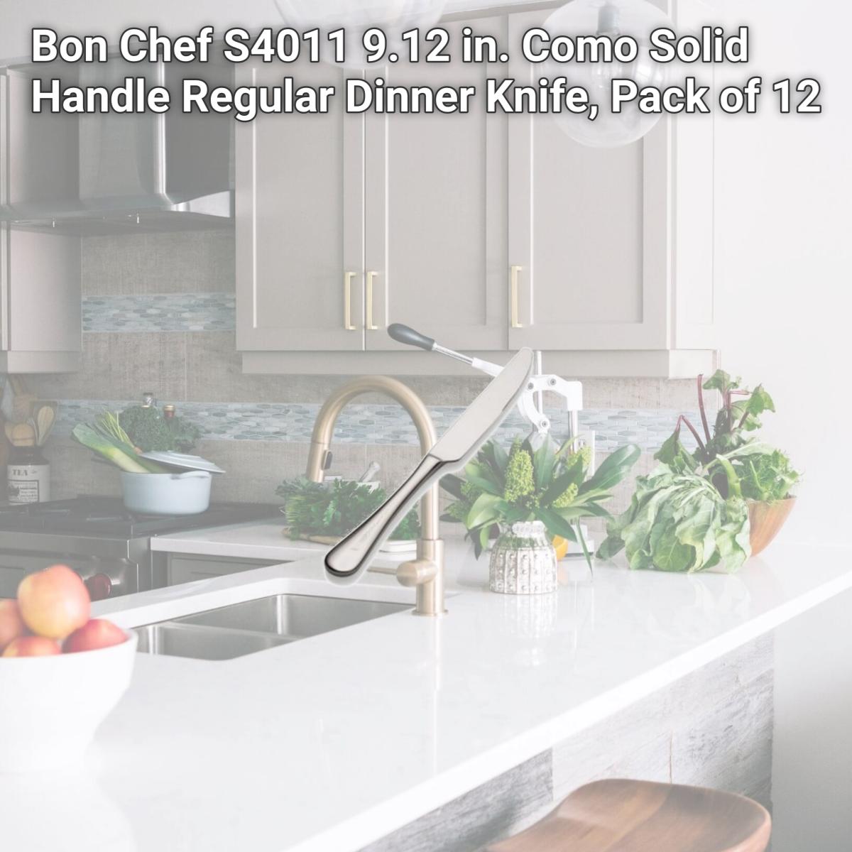 Picture of Bon Chef S4011 9.12 in. Como Solid Handle Regular Dinner Knife, Pack of 12