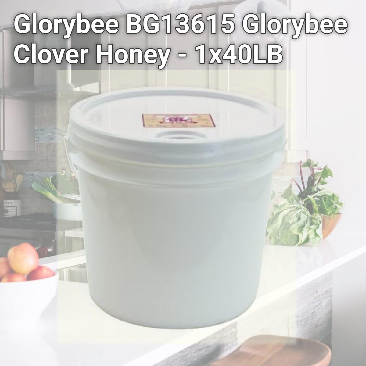Picture of Glorybee BG13615 Glorybee Clover Honey - 1x40LB