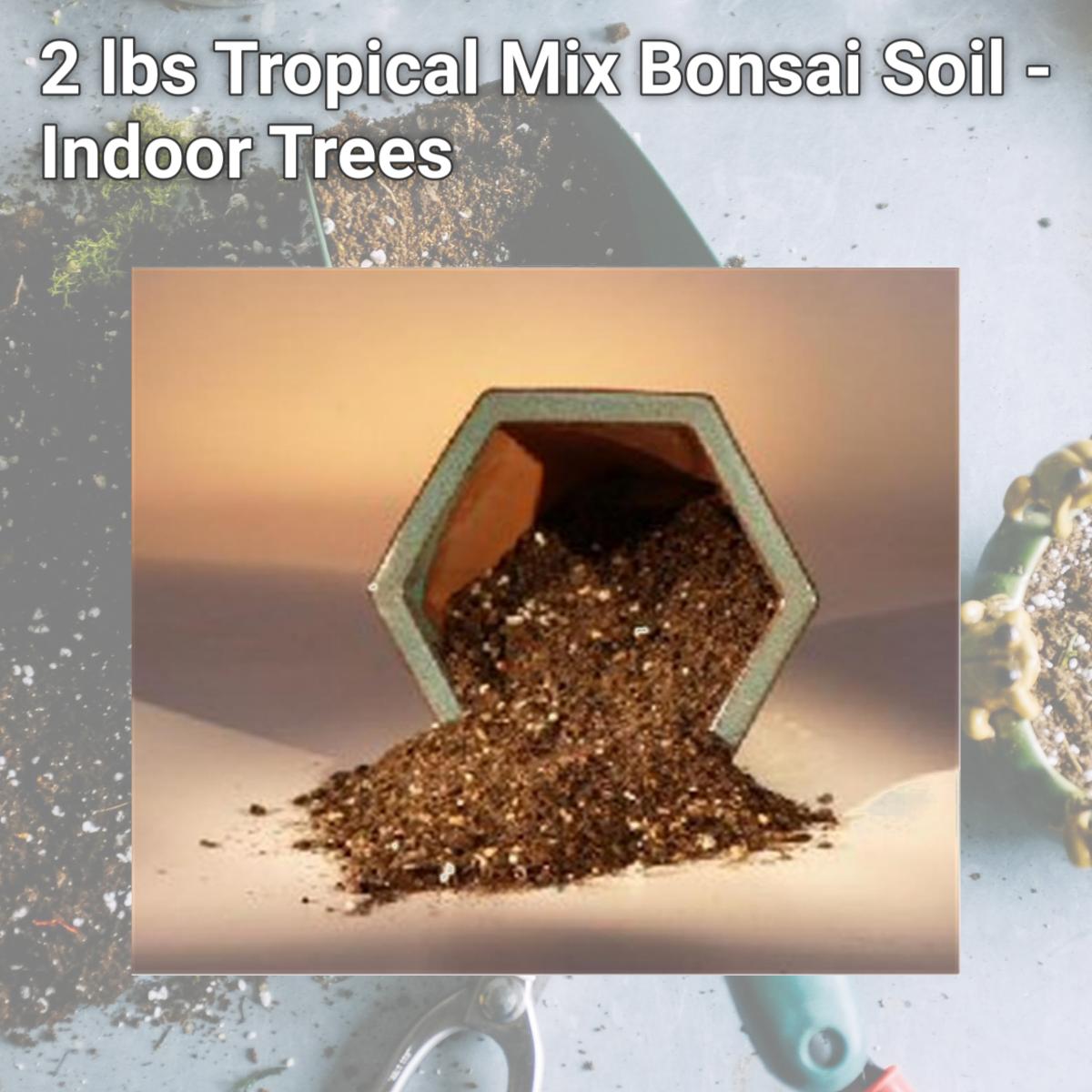 Picture of Bonsai Boy a1093 2 lbs Tropical Mix Bonsai Soil - Indoor Trees
