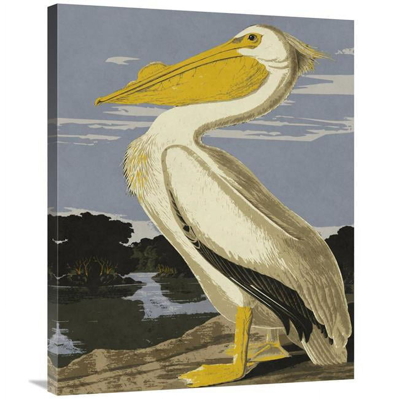 UPC 740078579526 product image for GCS-394763-2835-142 28 x 35 in. Audubon Decor - Pelican Art Print - BG.Studio | upcitemdb.com