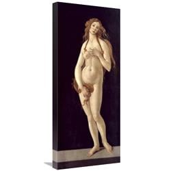 30 In. Venus Pudica Art Print - Sandro Botticelli