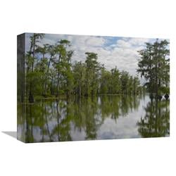 12 X 16 In. Bald Cypress Swamp, Cypress Island, Lake Martin, Louisiana Art Print - Tim Fitzharris