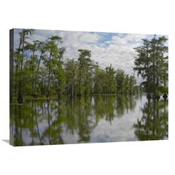 24 X 32 In. Bald Cypress Swamp, Cypress Island, Lake Martin, Louisiana Art Print - Tim Fitzharris