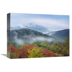 12 X 16 In. Broadleaf Forest In Fall Colors, Skyline Drive, Shenandoah National Park, Virginia Art Print - Tim Fitzharris