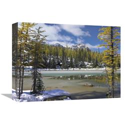 12 X 16 In. Boreal Forest In Light Snow, Opabin Plateau, Yoho National Park, British Columbia, Canada Art Print - Tim Fitzharris