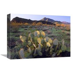 12 X 16 In. Beavertail Cactus With Picacho Mountain In The Background, Pichaco Peak State Park, Arizona Art Print - Tim Fitzharris