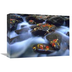 12 X 16 In. Autumn Leaves On Wet Boulders In Stream, Great Smoky Mountains National Park, North Carolina Art Print - Tim Fitzharris