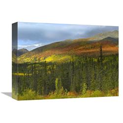 12 X 16 In. Boreal Forest Beneath Goldensides Mountain, Tombstone Territorial Park, Yukon Territory, Canada Art Print - Tim Fitzharris