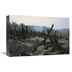 Global Gallery GCS-398529-1218-142 12 x 18 in. Slash & Burn Agriculture Where Forest Is Burned to Create Agricultural Land Madagascar Art Print - Konrad Wothe Global Gallery GCS-398529-1218-142 12 x 18 in. Slash & Burn Agriculture Where Forest Is Burned to Create Agricultural Land Madagascar Art Print - Konrad Wothe