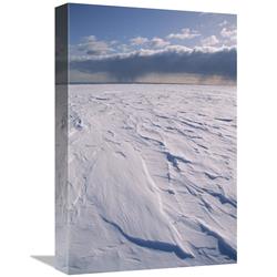 Gcs-451548-1218-142 12 X 18 In. Ross Ice Shelf, Ross Sea, Antarctica Art Print - Tui De Roy