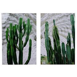 35.4 X 1.6 X 26.6 In. Twin Cacti Canvas Print, Green - Set Of 2