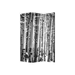 Bm26560 3 Panel Canvas Foldable Screen With Birch Print, Black & White