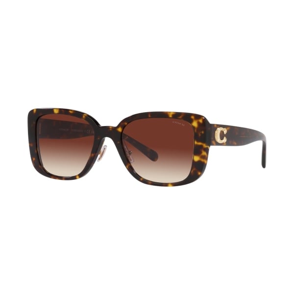 UPC 725125387262 product image for 81095162 HC8352 Sunglasses for Ladies - Dark Brown Gradient & Dark Tortoise | upcitemdb.com