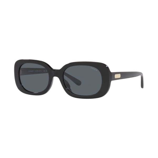 UPC 725125387392 product image for 81095198 HC8358U Sunglasses for Ladies - Black & Dark Blue Solid - Large | upcitemdb.com