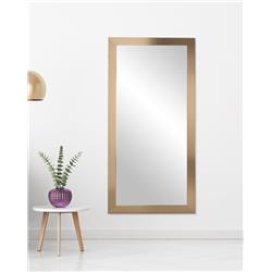 Contemporary Champagne Full Length Mirror 32 X 66 In. Bm062ts