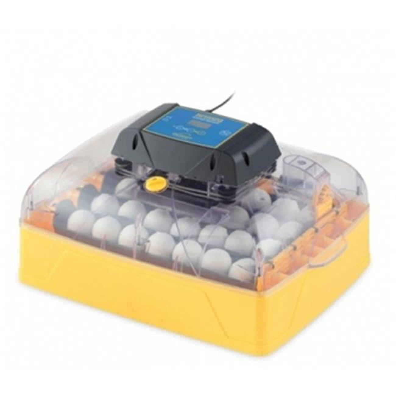 Brinsea Products Usaf36cp 115v Ovation 28 Classroom Digital Egg Incubator
