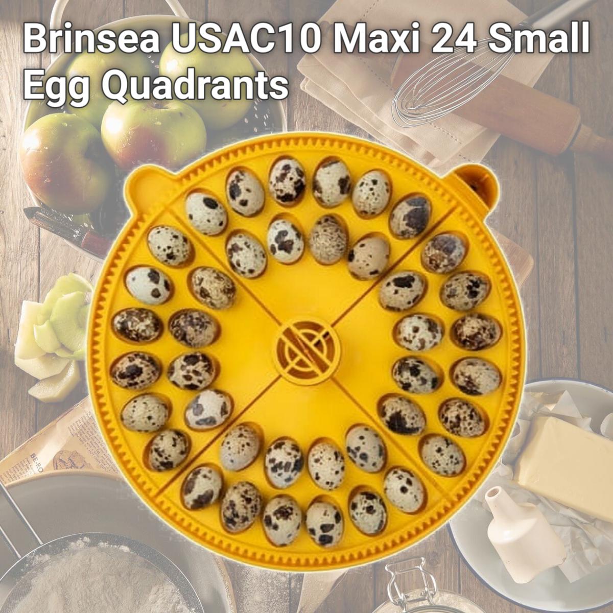 Picture of Brinsea USAC10 Maxi 24 Small Egg Quadrants