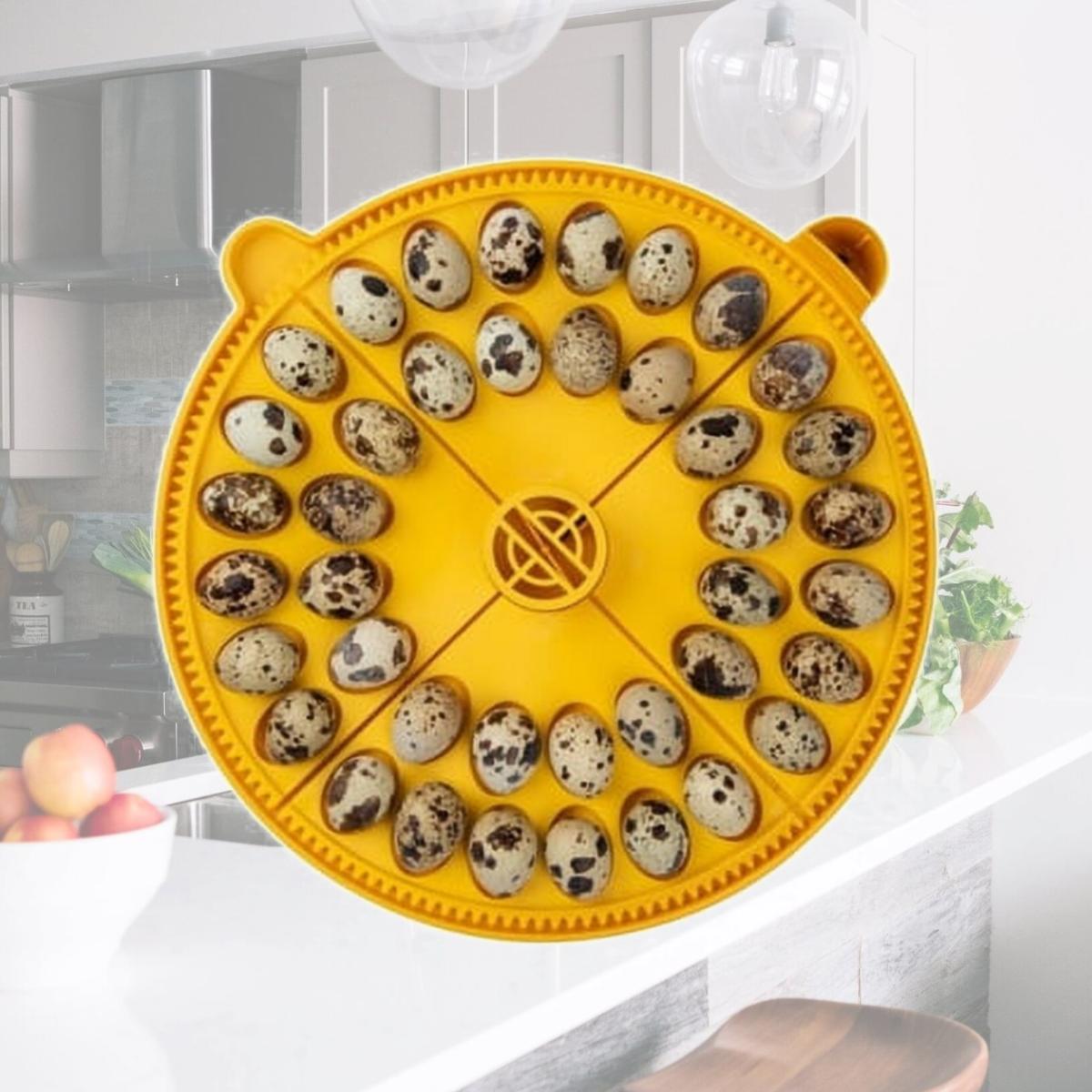 Picture of Brinsea USAC10 Maxi 24 Small Egg Quadrants
