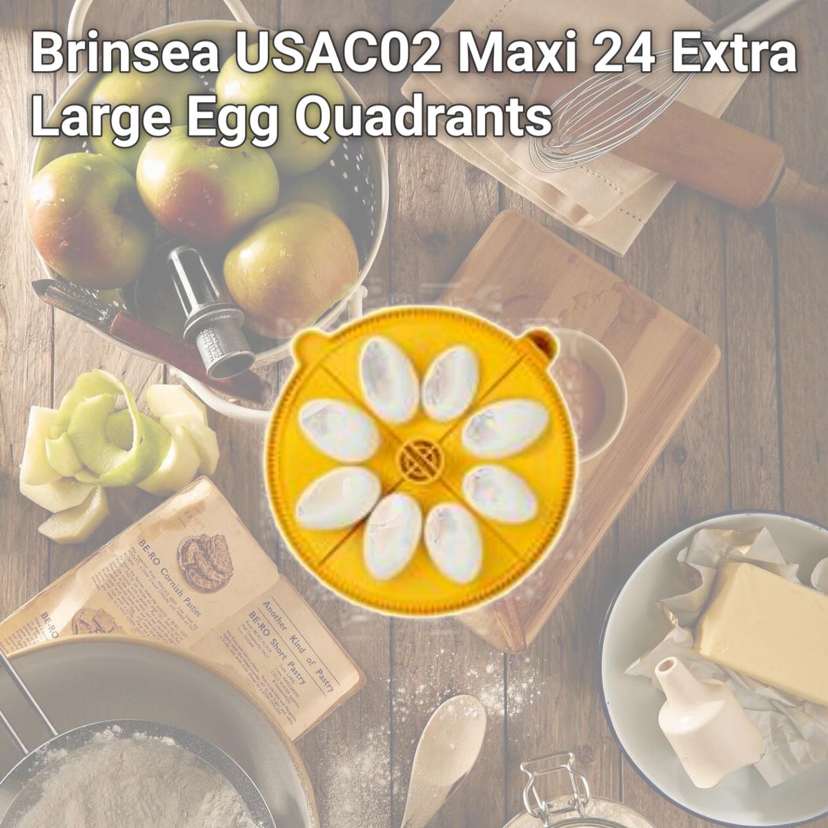 Picture of Brinsea USAC02 Maxi 24 Extra Large Egg Quadrants