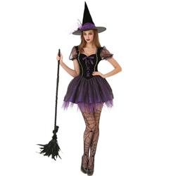 Wicked Witch Adult Costume - Medium