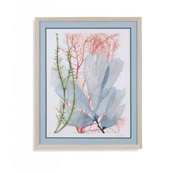 Bassett Mirror 9901-019aec Seaweed Flow I Framed Wall Art