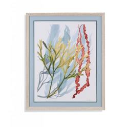 Bassett Mirror 9901-019bec Seaweed Flow Ii Framed Wall Art