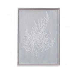 Bassett Mirror 9901-049aec Silver Foil Algae Ii Framed Wall Art