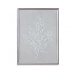Bassett Mirror 9901-049bec Silver Foil Algae Iii Framed Wall Art