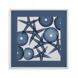 Bassett Mirror 9901-129aec 31 X 1.75 X 31 In. Starfish Sea Urchins Framed Art