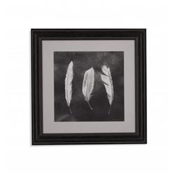 Bassett Mirror 9901-184bec 30 X 1 X 30 In. Cyanotype Feathers Ii Framed Art