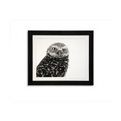 9901-492 Burrowing Owl Framed Wall Art, - 36 X 0.75 X 30 In.