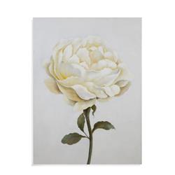 7300-430 White Rose Study Wall Art - 48 X 1.5 X 36 In.
