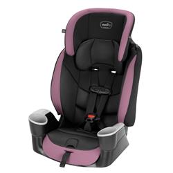 Evenflo 34912204 Maestro Sport Harness Booster Car Seat, Whitney