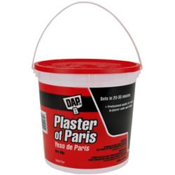 10310 8 Lbs Plaster Of Paris Paint, White