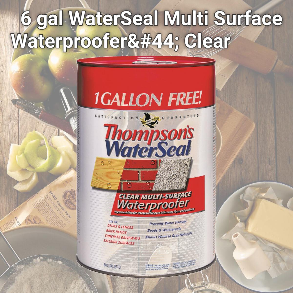 Picture of Thompson & Formby 24106 6 gal WaterSeal Multi Surface Waterproofer, Clear
