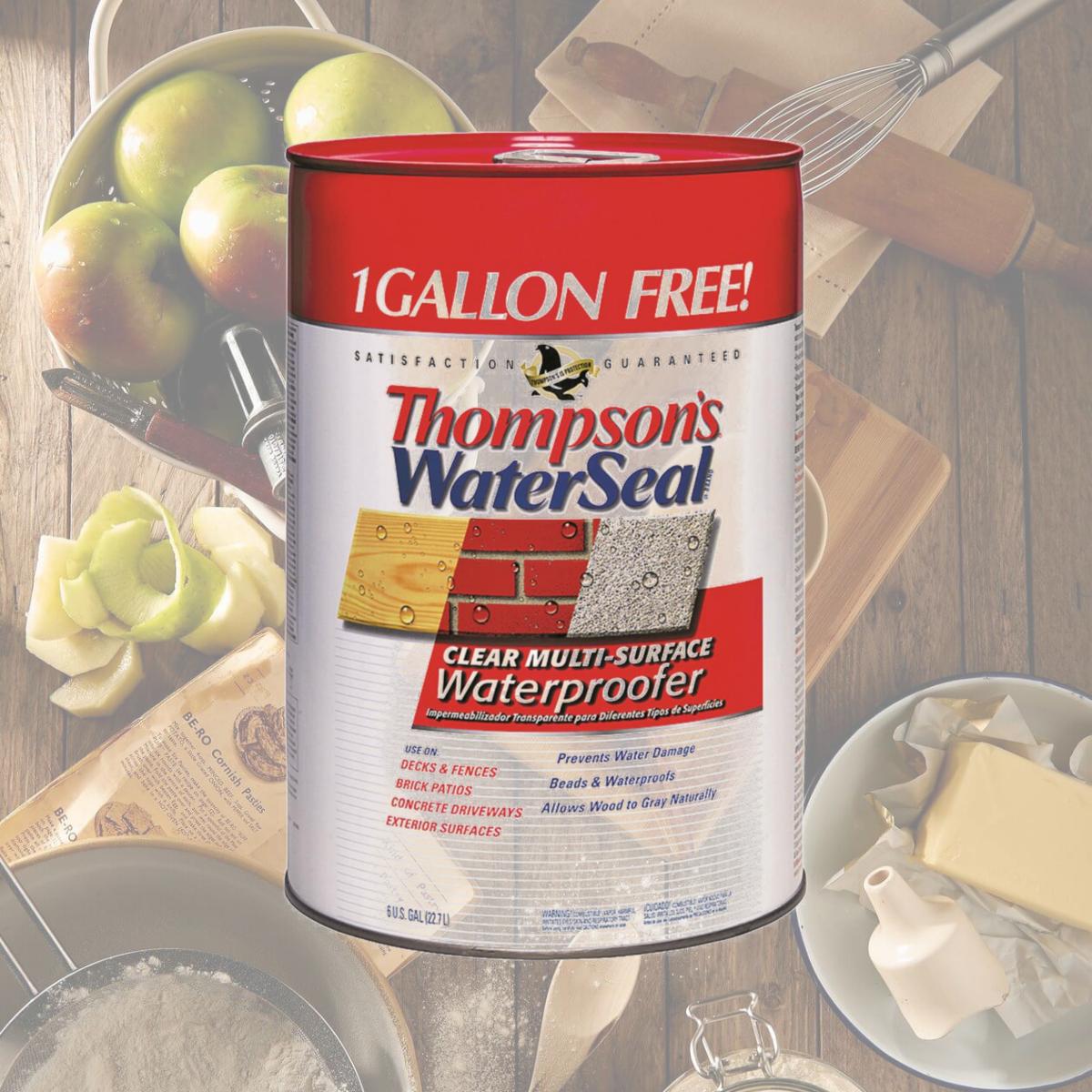 Picture of Thompson & Formby 24106 6 gal WaterSeal Multi Surface Waterproofer, Clear