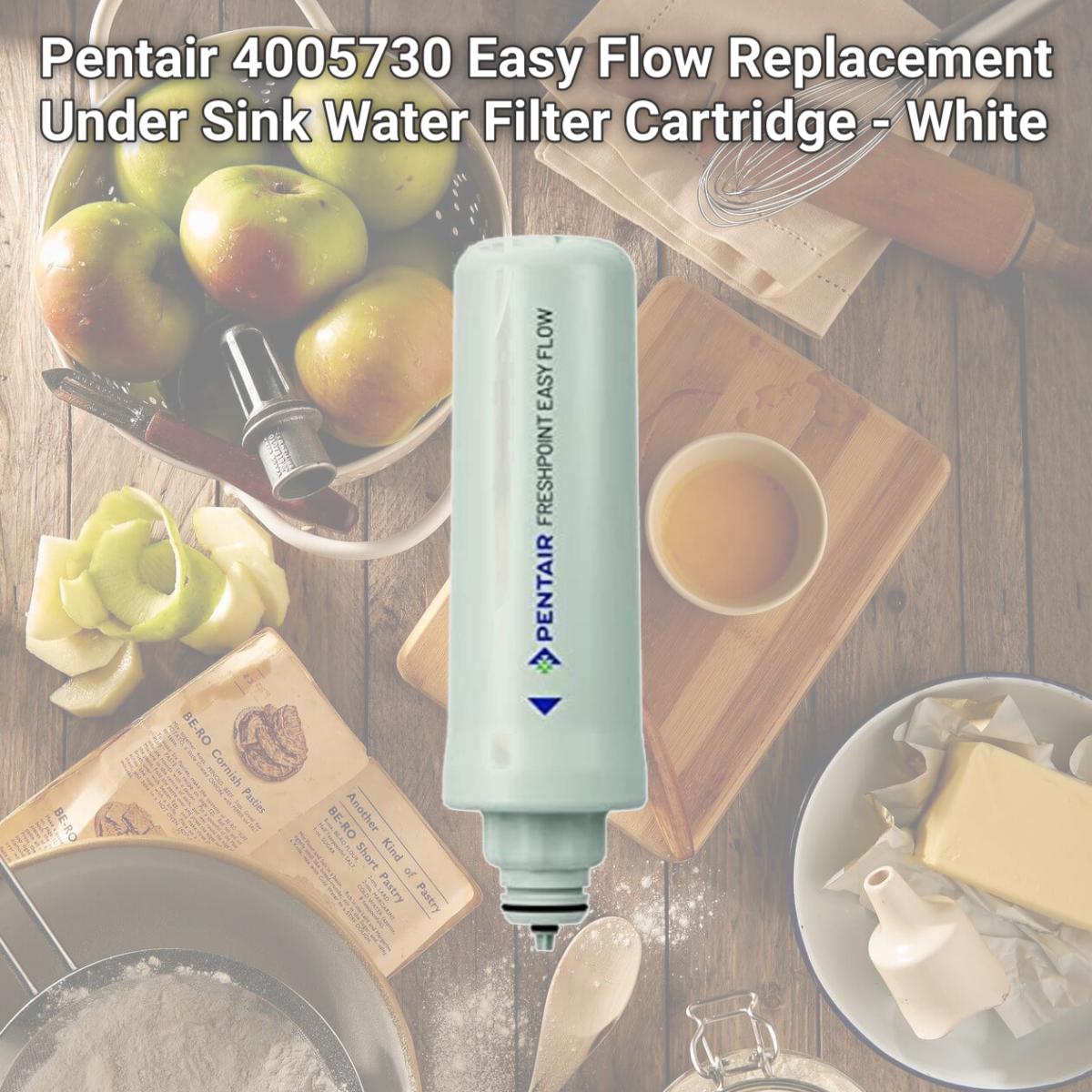 Picture of Pentair 4005730 Easy Flow Replacement Under Sink Water Filter Cartridge - White