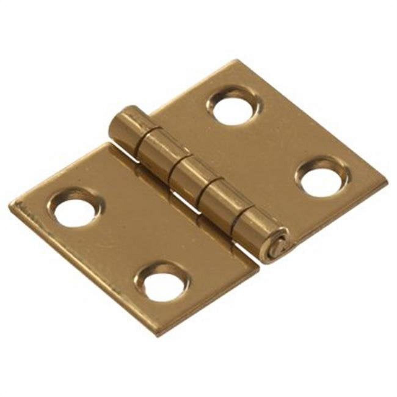 1 In. Solid Brass Broad Hinge