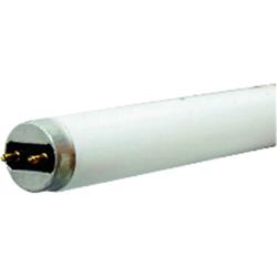 17w Bi-pin 24 Ecoolux Starcoat Linear Fluorescent Lamp - Pack Of 24