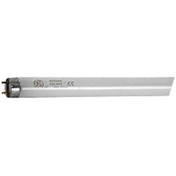 19w T8 26 In. Linear Fluorescent Lamp, Cooll White - Pack Of 6